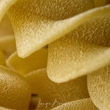 Marulo, Fusilloni Pasta, Artisan Bronze Die-Cut Pasta, 12 Pack  x 1.1 lb