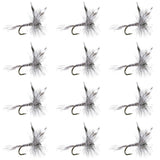Mosquito Classic Trout Dry Fly Fishing Flies - 1 Dozen Size 12