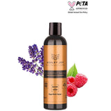 Ashley Joy Dark Color Treated Hair Shampoo: Lavender Raspberry Formula, Kinoa & Chia Seed for Color Protection & Nourishment, Argan & Sweet Almond Oil, 8.45 fl oz