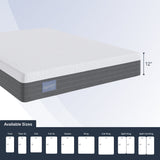 Signature Hybrid Firm