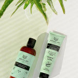 Ashley Joy Anti-Frizz Shampoo: Tame Frizzy Hair with Avocado Oil Moisture | Smoothing, Hydrating Formula (400ml / 13.53 fl oz)