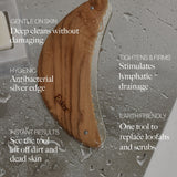 Body Plane Exfoliator Tool