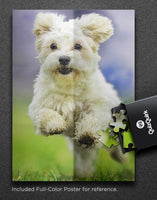 QuizQuirk 1000 Piece Puzzle, Jumping Dog Jigsaw Puzzle for Adults/Teens (Puzzle Saver Kit Included)