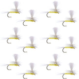 Pale Morning Dun Parachute PMD Classic Dry Fly - 1 Dozen Flies Hook Size 18