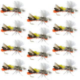 Parachute Chernobyl Ant Black Orange Foam Body Grasshopper Fly - 1 Dozen Flies Hook Size 10