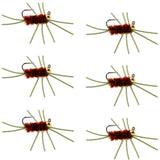 Barbless Pat's Rubber Legs Tungsten Bead Jigged Brown Euro Nymph  - Set of 6 Flies Hook Size 10