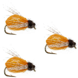 3 Pack LaFontaine Amber Deep Sparkle Caddis Pupa - Hook Size 18