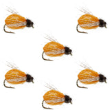 LaFontaine Amber Deep Sparkle Caddis Pupa - 6 Flies Hook Size 12