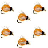 Bead Head LaFontaine Amber Deep Sparkle Caddis Pupa - 6 Flies Hook Size 18