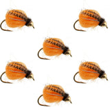 Bead Head LaFontaine Deep Sparkle October Caddis Pupa - 6 Flies Size 8