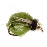 3 Pack Bead Head LaFontaine Olive Deep Sparkle Caddis Pupa - Hook Size 14
