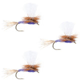 3 Pack Parachute Purple Haze Dry Fly - Size 18