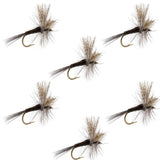 Quill Gordon Classic Dry Fly - 6 Flies Size 16