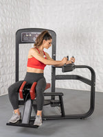 Elite Selectorized Rotary Torso - Muscle D Fitness - Commercial - Adjustable Seat - Pin Selectorized Stack - Oblique Trainer