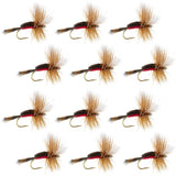 Royal Humpy Classic Hair Wing Dry Fly - 12 Flies Hook Size 10