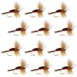 Royal Humpy Classic Hair Wing Dry Fly - 12 Flies Size 8