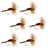 Royal Humpy Classic Hair Wing Dry Fly - 6 Flies Size 12