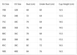 Floral Lace Women Bra Underwire Slimming Push Up Bra Stylish Comfort Side Support & Anti Sagging Sexy Lingerie