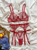 Women's Sexys Lingerie Woman Senxual Bra and Panty Set Romantic Lingeries Set for Woman Hot Lingeries Sets Sexy Outfit Thong