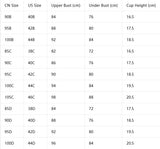 Wide Straps Women's B C D Bra Large Gather Push Up Bra Comfort Thin Cup Underwire Support Lingerie Bra