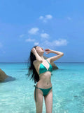 Halter Brazilian Metallic Satin Bikini Women Swimwear Female Swimsuit Two-pieces Bikini Set High Cut Bathing Suit Swim Beachwear