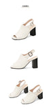 New Women Sandals Peep Toe High Heels Summer Gladiator Shoes Black Brown Woman Ankle Strap Sandalias Female Mujer Big Size