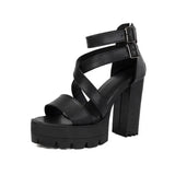 Spring and Summer New Model Fashion Chunky Heel Women's Sandals Open-toe Buckle Platform Sexy Party Women's Shoes High 11cm