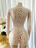 Women Sheer Mesh Long Sleeve Beach Cover Up, Sexy See-Through Fishnet Dress, Solid Bodycon  For Summer Beach Party