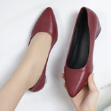 2026 Women Pointed Toe High Heels Shoes New Fashion Pumps Outdoor Anti-slip Designer Shoes Elegant Shoes