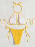 2025 Halter Tie Side Hollow Out Smocked Bikini Women Swimsuit Female Swimwear Two Pieces Bikini Set Swim Bathing Suit Beach Wear