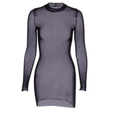 Women Mesh Dress Spring Autumn Sexy Sheer Mesh Long Sleeve Package Hip Sheath Dress Lady Sexy Club Body Wrap Mini Short Vestidos