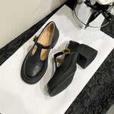 Ladies Retro Style High Heel Single Shoes for Women Platform Thick Heel Buckle Design Casual Loafers T-strap Leather shoes New