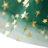 Women Fashion Christmas Dress Star Print Square Neck Sleeveless Layered Tulle Dresses with Plush Ball