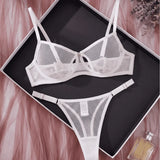 French Style Sexy Embroidered Transparent Underwear Set V-Neck Design Anti-Sagging Breathable Bra And Panties Ensemble
