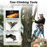 Tree Climbing Gear Set With Ascension Equipment 220lb Capacity