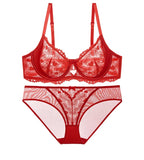 Sheer Lace Teddy Lingerie Set Panty Sexy Bra & Panty Set Ultra Thin Comfortable Summer Wear S-3XL BC Sexy Gift Sexy Tushy MOYISU