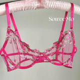 Everyday French Lace Bra Set Sheer Mesh Underwire Large Bust Support Floral Embroidery Comfort Wear Sexy MOYISU Panty Tushy Set