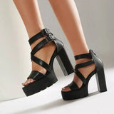 Spring and Summer New Model Fashion Chunky Heel Women's Sandals Open-toe Buckle Platform Sexy Party Women's Shoes High 11cm