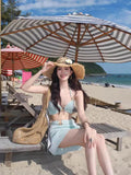 New Sexy Bikini Swimsuit for Women, Covering Flesh and Slimming, High-end Feeling, Spicy Girl Beach Vacation Three Piece Set