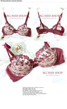 MOYISU Pure Desire Victoria Thin Bra Set Lace Mesh Red Beautiful Back Sex Underwear Hold Up with Underwire Transparent Bra Woman