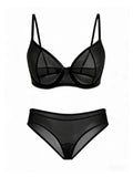 Sexy Ultra-Thin Fully Transparent Alluring Lingerie with Underwire, No Padding, Beautiful Back Bra, Hot Girl Push-Up Bra Set