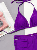 2026 Sexy Bikini Purple Hollow High Waist Halter Swimwear Swimsuit Women Bikinis Set Bathing Suit Beach Bikini Biquinis Feminino