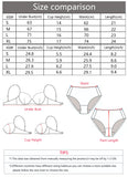 New French style erotic lingerie European and American thin jacquard mesh hollow comfortable bra set MR2669
