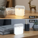 Motion Sensor Light USB Type-C Charging Night Lamp Dimmable White/Warm Light for Bedroom Kitchen Stair Hallway Cupboard Lighting