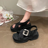 Fashion Crystal Buckle Platform Sandals Women Pink Embroidery Thick Heels Sandalias Mujer Comfortable Heightened Rome Sandals
