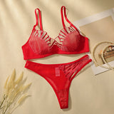 New Design High-Quality Lingerie Set With Sexy butterfly Line Mesh Plicing Women's Underwear Push Up Bra 2 Pieces YS2417