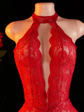 Adult Deep V-neck Hanging Neck Lace Flower Print Lingerie Solid Color Knitted Sexy Backless Underwear Women's Jumpsuit Clothing