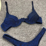 Glitter Shiny Underwired V-Bar Bikini Women Swimsuit Female Brazilian Swimwear Two-piece Bikini Set Triangle Bathing Suit Swim