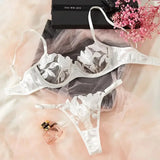 Fairy Lingerie Floral Valentine Charming Brief Panty Underwear Sexy Nighty Underwear Women See Through Bra Brief Set