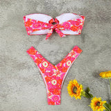 Micro Bikini Push Up Swimsuits For Women 2024 Sexy Female Swimwear Brazilian Bikini Set Thong Biquini Swim Suits Print Beachwear